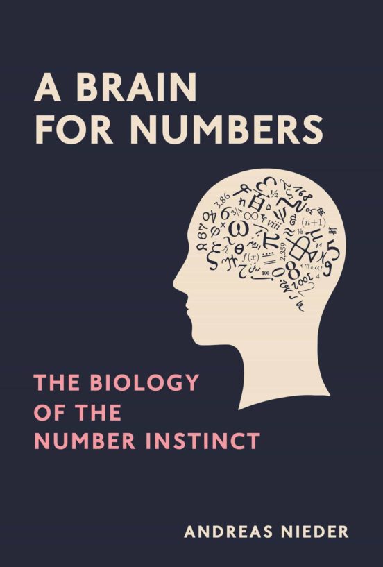 A Brain For Numbers: The Biology Of The Number Instinct