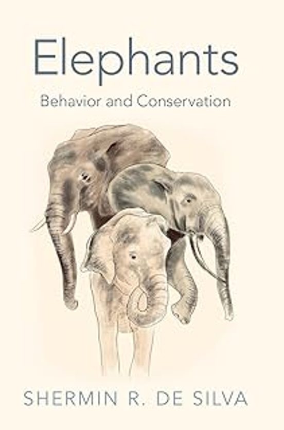 Elephants