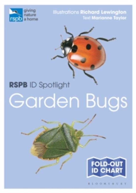 Rspb Id Spotlight - Garden Bugs
