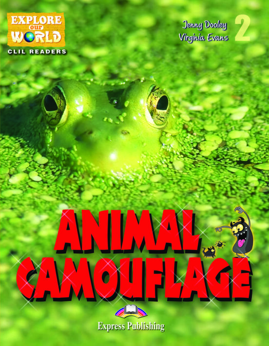 Animal Camouflage Reader