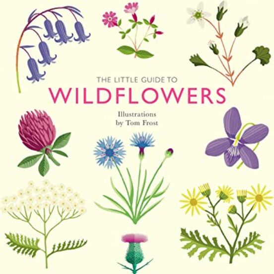 The Little Guide To Wildflowers