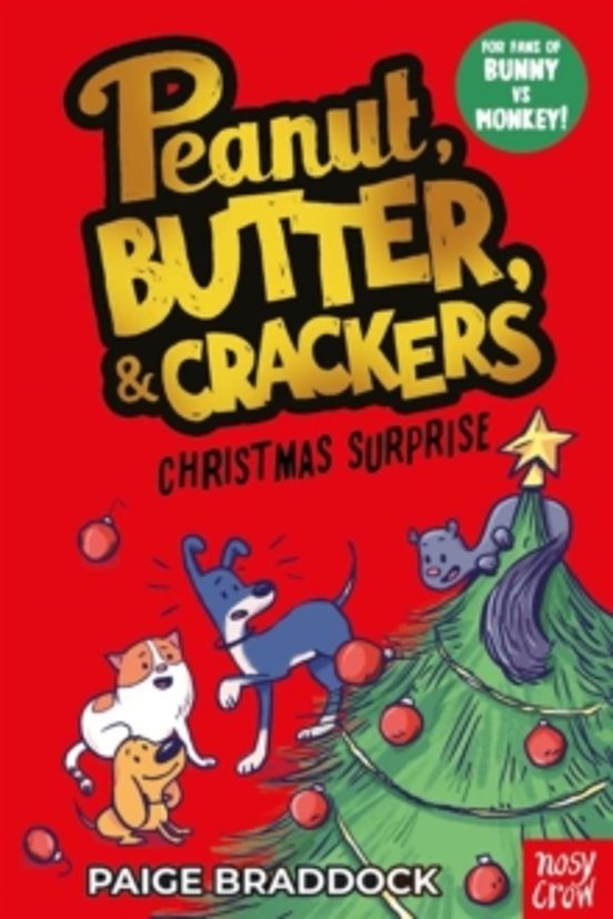 Christmas Surprise