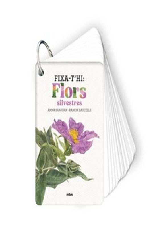 Fixa-t Hi: Flors Silvestres