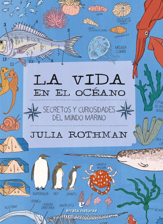 La Vida En El Océano: Secretos Y Curiosidades Del Mundo Marino