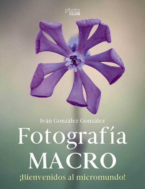 Fotografia Macro. Bienvenido Al Micromundo