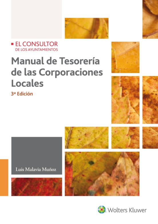 Manual De Tesorería De Las Corporaciones Locales 3ª Ed
