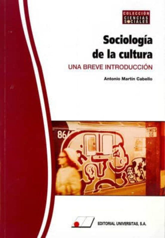 Sociología de la cultura : una breve introducción