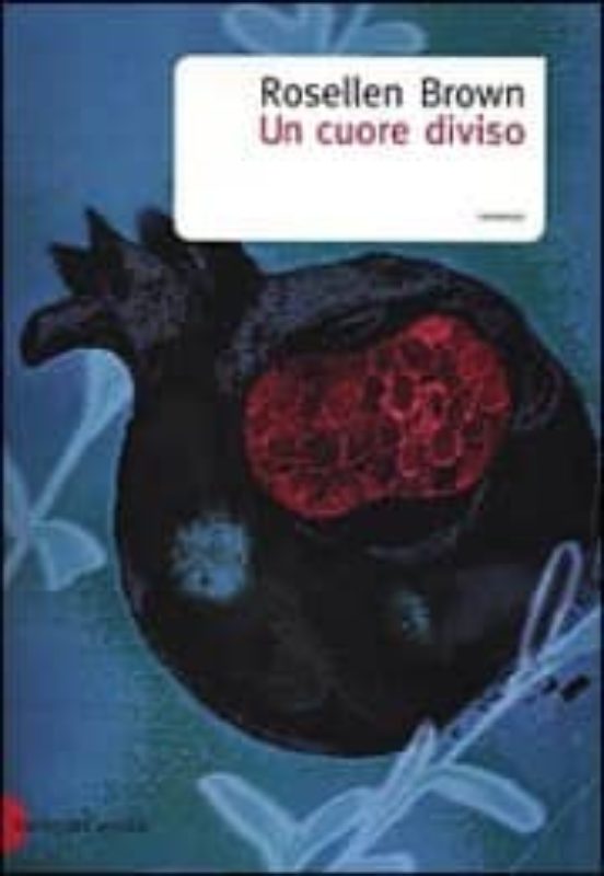 Un Cuore Diviso