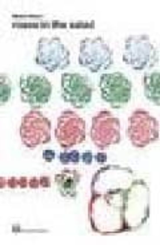 W4: Roses in the Salad