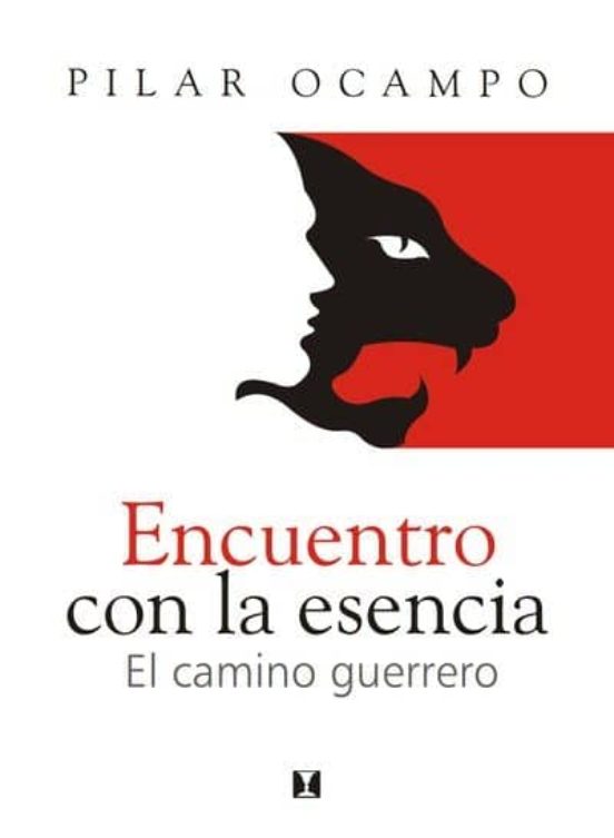El Tesoro Escondido: La Vida Interior De Niños Y Adolescentes