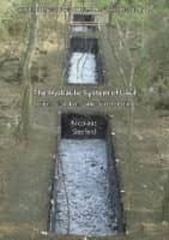 The Hydraulic System Of Uxul: Origins Functions And Social Sett Ing