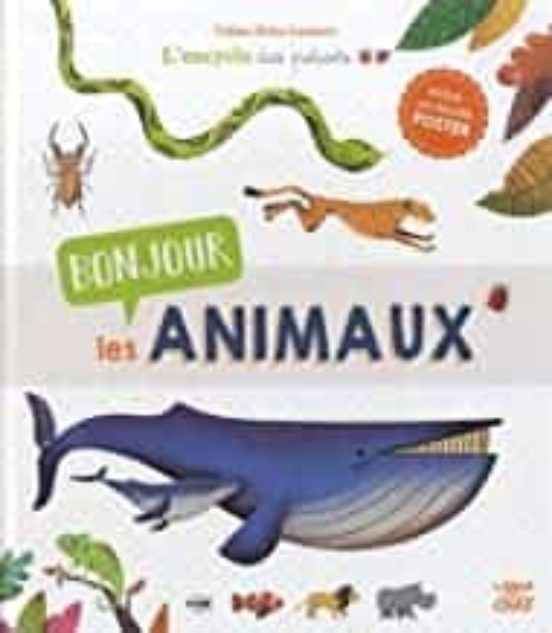 Bonjour Les Animaux