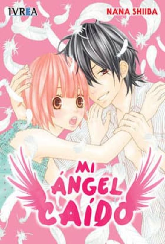 Mi Angel Caido