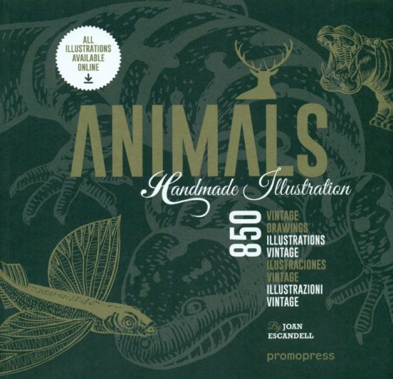 Animals Handmade Illustration