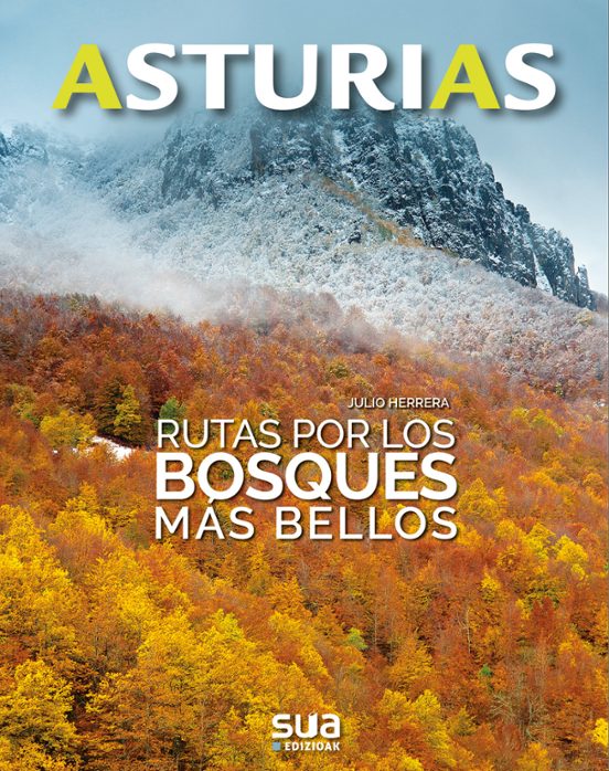 Asturias. Rutas Por Los Bosques Mas Bellos
