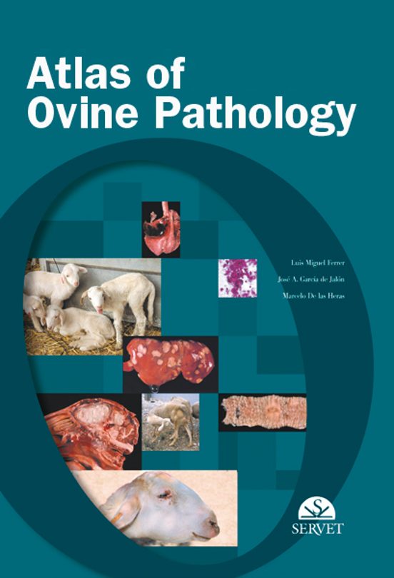 Atlas Of Ovine Pathology
