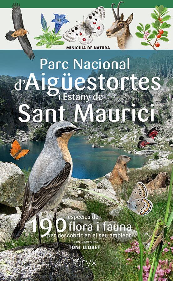 Parc Nacional D Aiguestortes I Estany De Sant Maurici