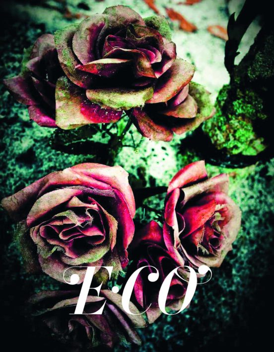 Eco: Encuentro De Colectivos Fotograficos Iberoamericanos Y Europ Eos