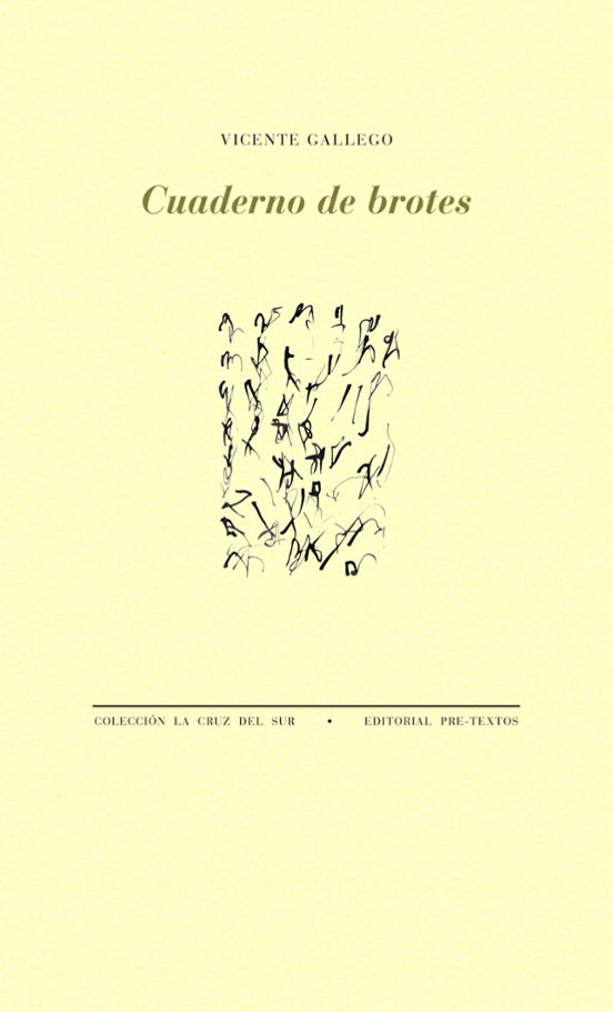 Cuaderno De Brotes