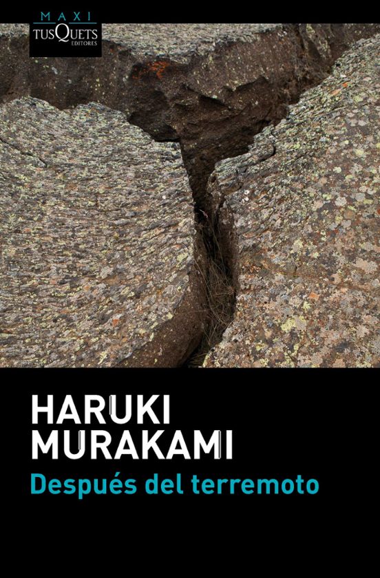 Portada de Después del terremoto