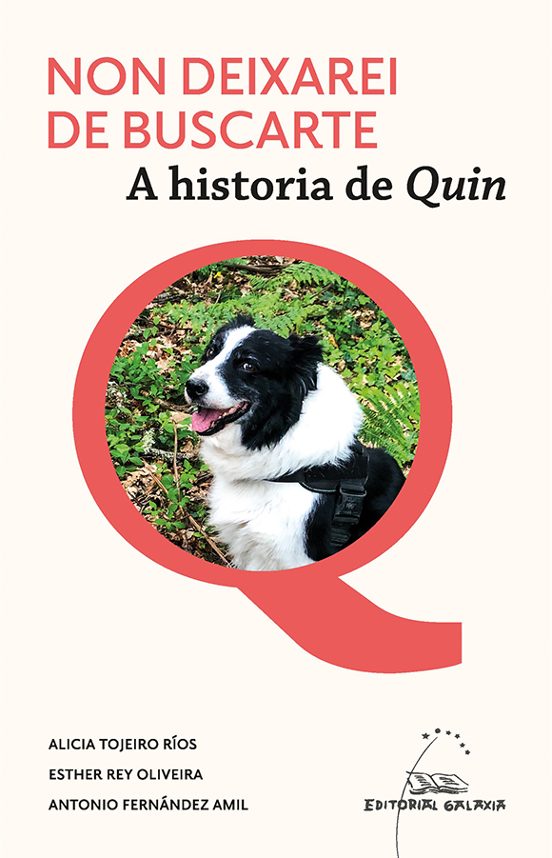 Non Deixarei de Buscarte