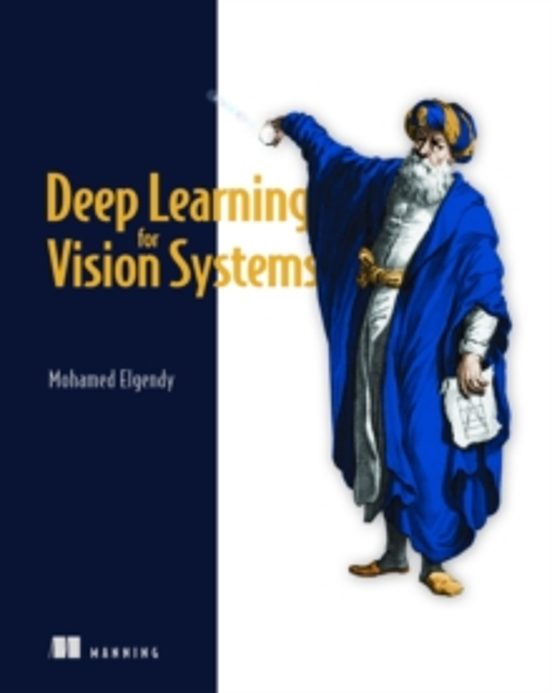 Deep Learning For Vision Systems
