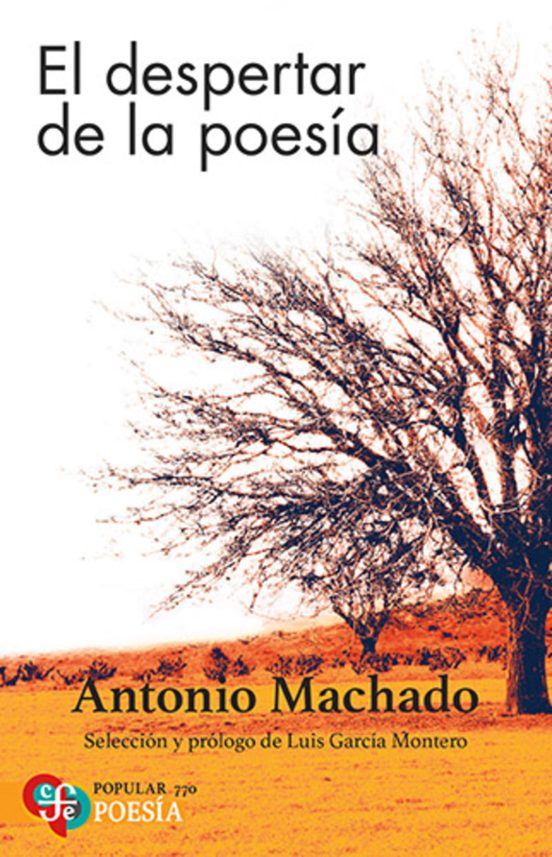El Despertar De La Poesia