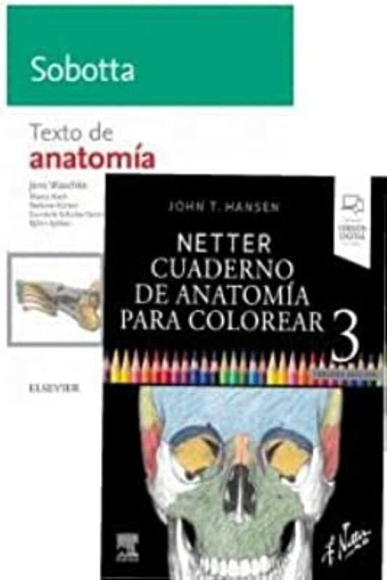 Lote Hansen - Waschke Netter. Cuaderno De Anatomía Para Colorear 3 Ed