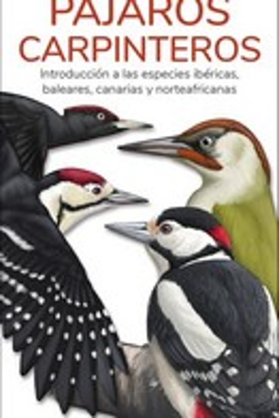 Pajaros Carpinteros