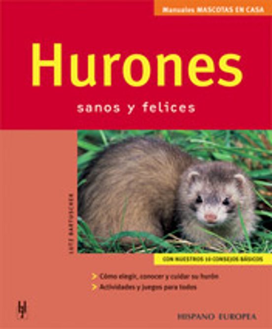 Hurones Sanos Y Felices