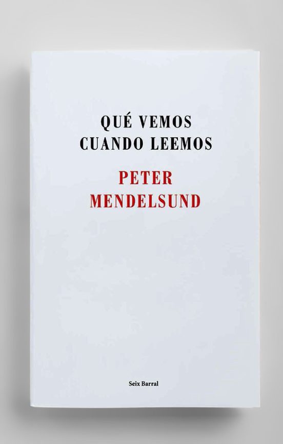 Qué Vemos Cuando Leemos