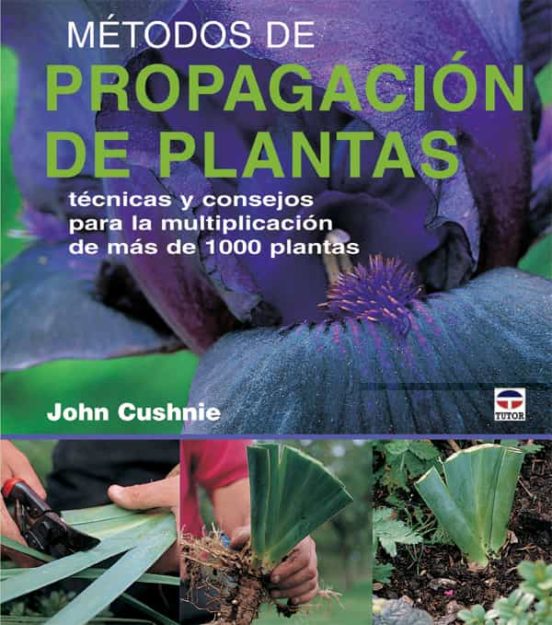 Metodos De Propagacion De Plantas: Tecnicas Y Consejos Para La Mu Ltip