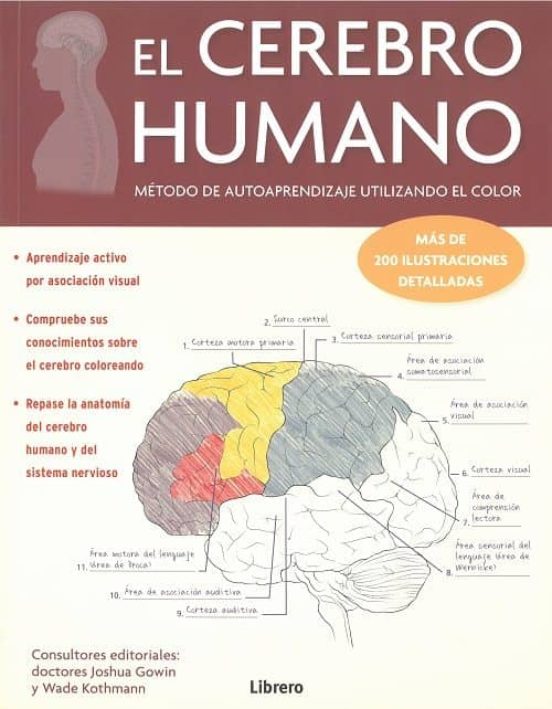 El Cerebro Humano: Metodo De Autoaprendizaje Utilizando El Color