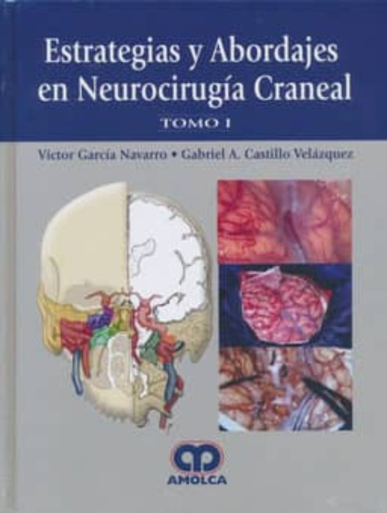 Estrategias Y Abordajes En Neurocirugia Craneal