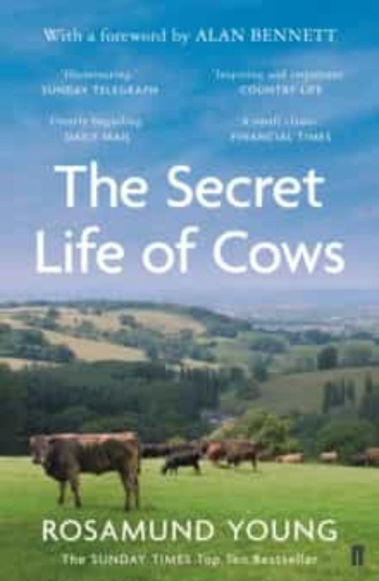 The Secret Life Of Cows