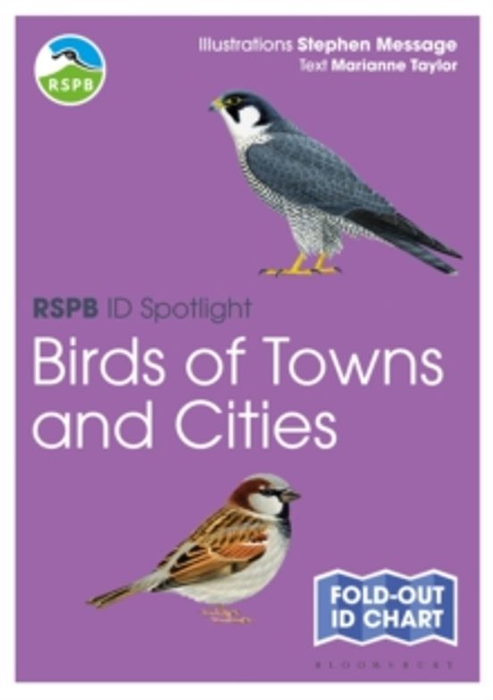 Rspb Id Spotlight - Birds Of Towns And Cities