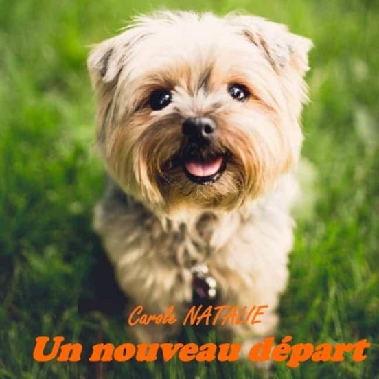 Un Nouveau Départ