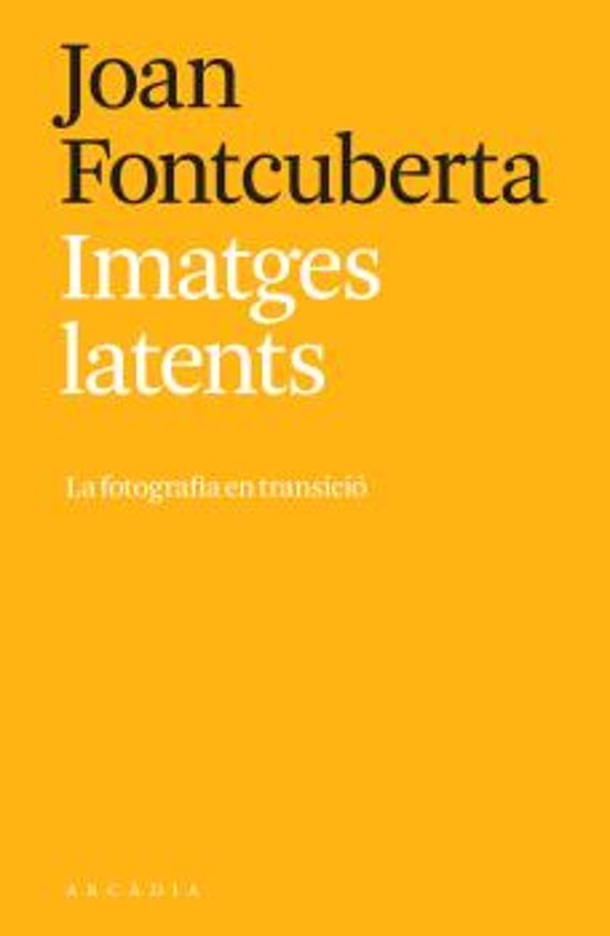 Imatges Latents: La Fotografia En Transicio