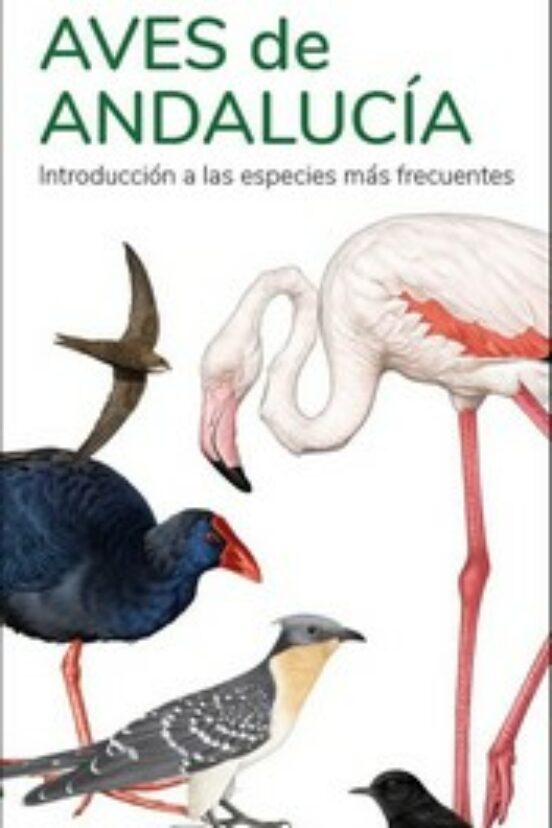 Aves De Andalucia
