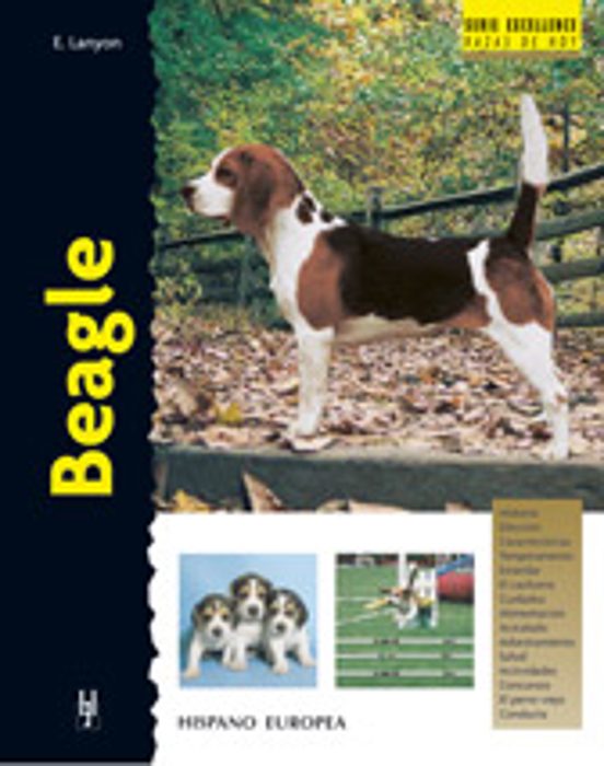 Beagle: Serie Excellence