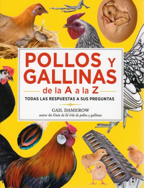 Pollos Y Gallinas De La A La Z