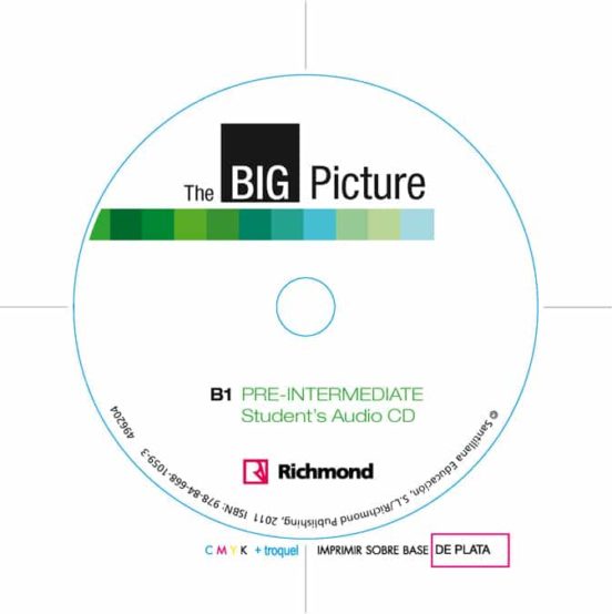 Big Picture 2 Workbook + Cd B1