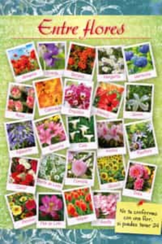 Entre Flores