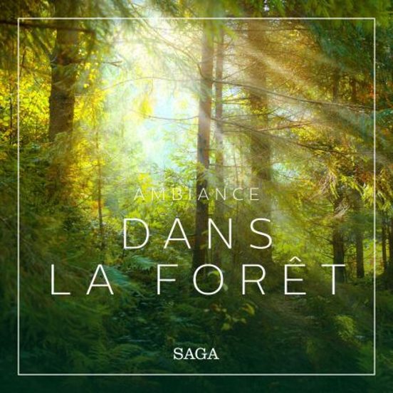 Ambiance – Dans La Forêt