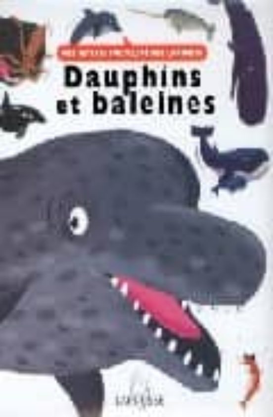 Dauphins et Baleines