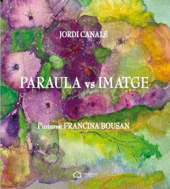 Paraula Vs Imatge
