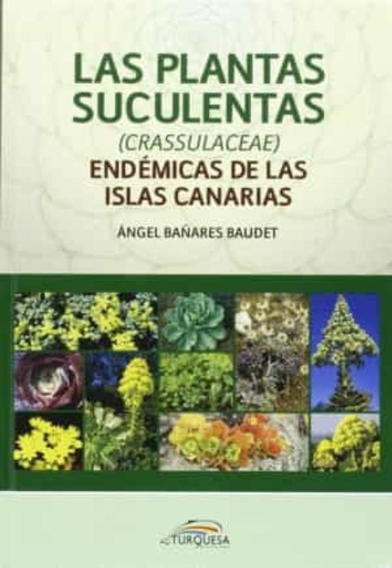 Las Plantas Suculentas Endemicas De Las Islas Canarias