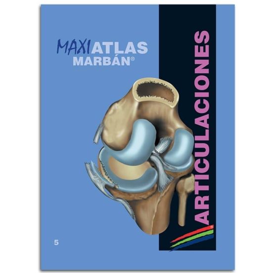 Articulaciones