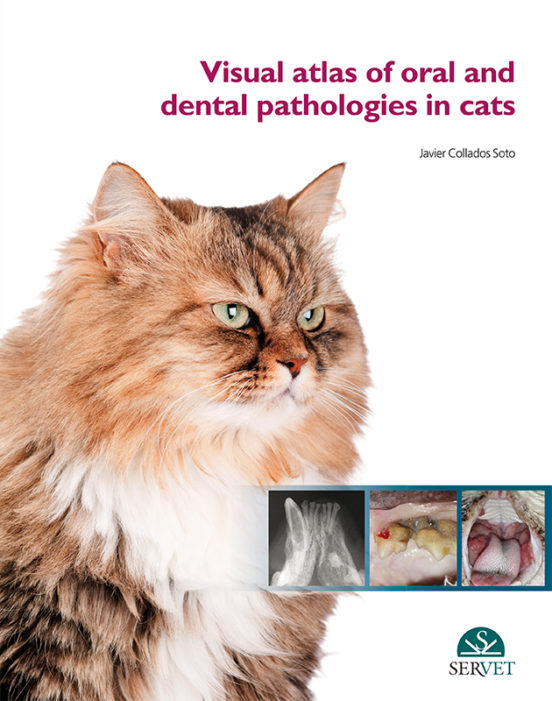Visual Atlas Of Oral And Dental Pathologies In Cats