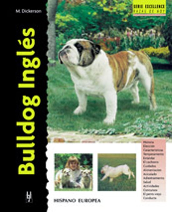 Bulldog Inglés